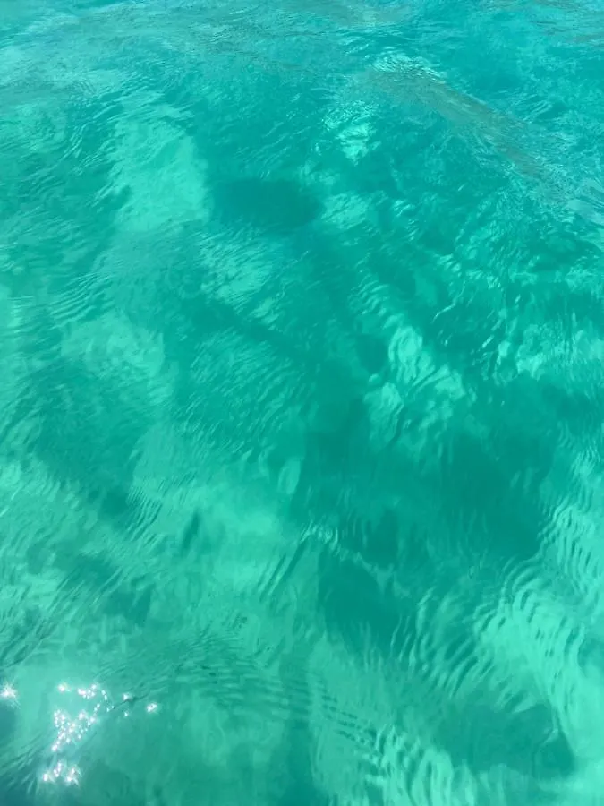 팔레르모 Mondello Sea House 아파트